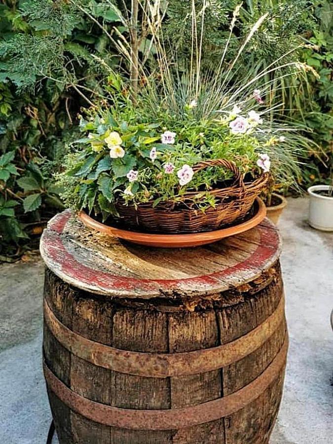 Bed & Breakfast Palma Bed and Breakfast Medolino Esterno foto